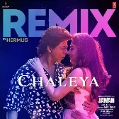 Chaleya Remix(Remix By Hermus)